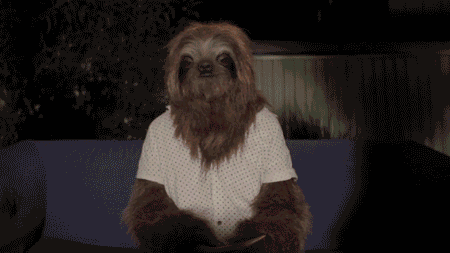 stoner sloth party gif