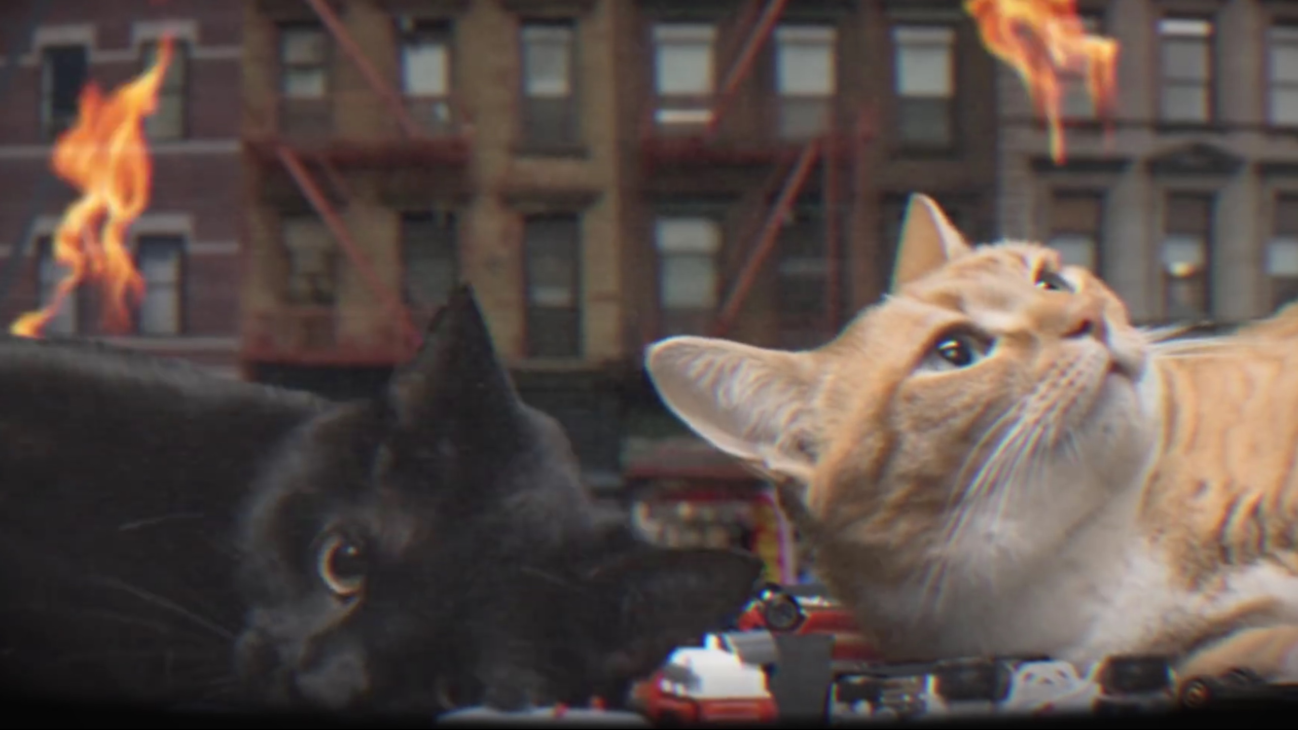 Music And Videos For Cats: Ultimate Relaxation Playlist
