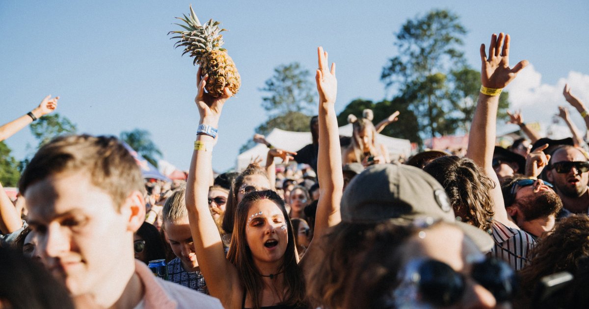 Big Pineapple Festival Announces 2019 Lineup Music Feeds