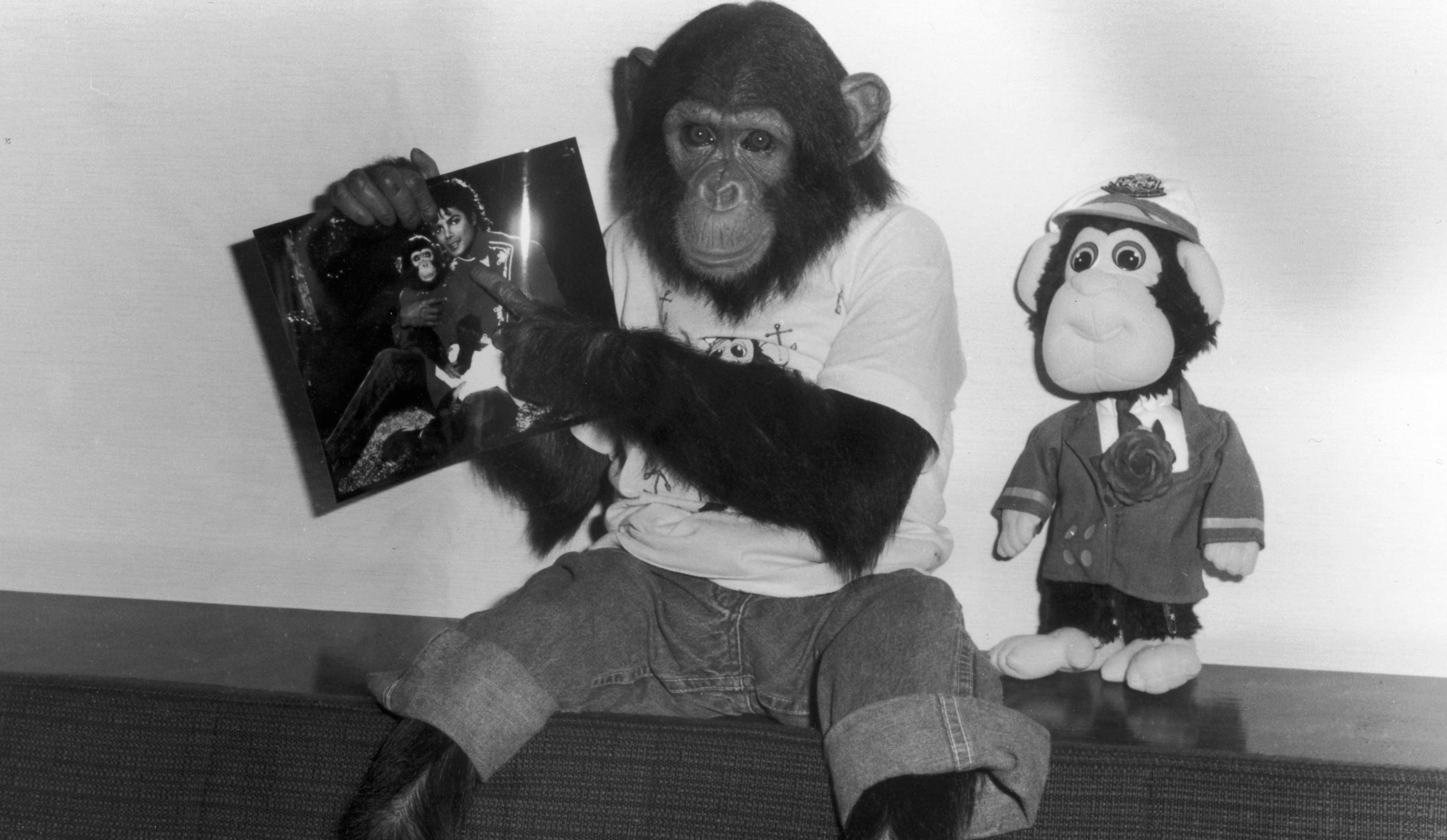 Michael Jackson's Chimp Bubbles Is Getting His Own Biopic Music Feeds