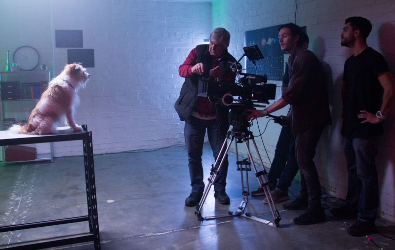 Behind The Scenes Of The Belligerents' Wild 'Flash' Video #35