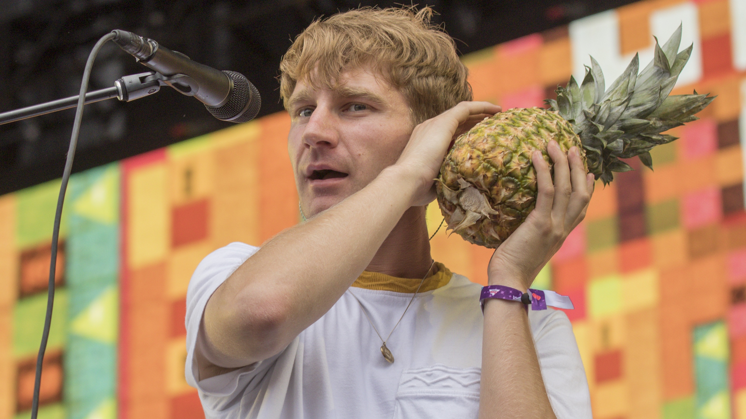 Glass Animals Respond After Music Festival Bans Pineapples Music Feeds